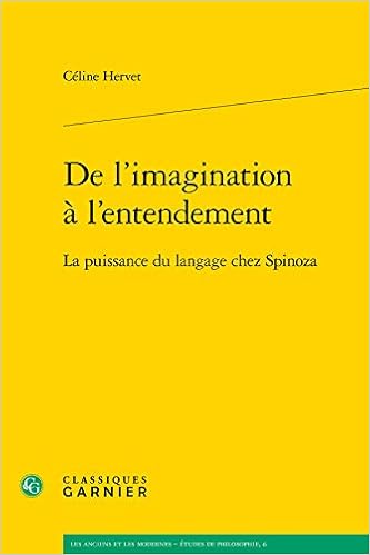 De L Imagination A L Entendement La Puissance Du Langage Chez Spinoza Amazon Fr Hervet Celine Livres