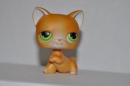lps kittens amazon