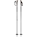 Black Diamond Traverse Ski Poles