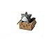 Elegance4beauty 1pc Cute Lovely Cartoon Cat In The Box Cell Phone Charm at Random