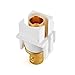 TNP BNC Keystone Jack Insert Connector (5 Pack) Socket Female Snap In Adapter Port Gold Plated Inline Coupler For Wall Plate Outlet Panel Mount (White)