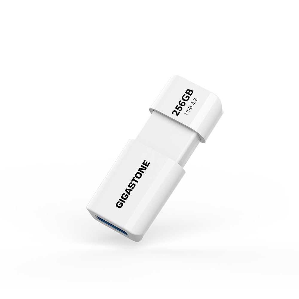 GIGASTONE Z60 256GB USB 3.2 Gen1 Flash Drive, R/W 120/80 MB/s Ultra High Speed Pen Drive, Capless Retractable Design Thumb Drive, USB 2.0 / USB 3.0 / USB 3.1 Interface Compatible