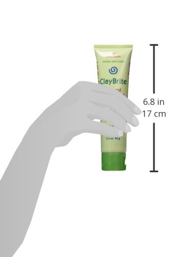 Zion Health Claybrite Natural Toothpaste, Natural Mint, 4 Ounce