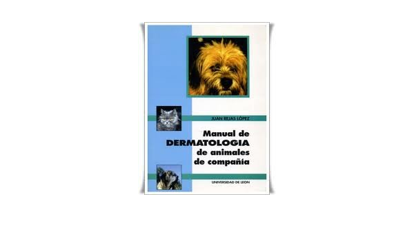 dandie dinmont terrier precio