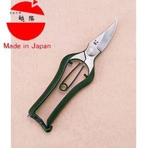 Koshiji Uchimono pruning shears bud B-1 (japan import)