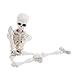 Kalttoyi Movable Mr. Bones Skeleton Human Model Skull Full Body Mini Figure Toy Halloween