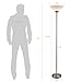 CO-Z Brushed Steel Tall Floor Lamp for Living Room/Bedroom/Home Office, 71