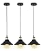 Deep Dream Industrial Pendant Light Shade Vintage Light Fixtures Pendant E26 E27 Base 3 Pack (Without Bulbs)