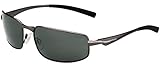 Bolle Everglades Sunglass