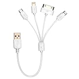 Universal Portable Charge Cable 4 in 1 8 PIN 30 PIN 2.0 Micro USB Charging Cable Mini USB Multi Charging Cable for iPhone 6s 6 Plus iPad 4 Mini Samsung Galaxy HTC Sony and more by Gempion (White)
