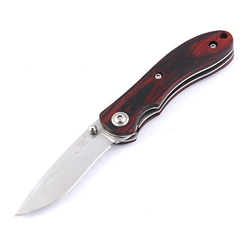 Sanrenmu PR-603 Liner Lock Wood Handle Mini Folding Knives