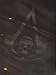 Assassin's Creed IV: Black Flag: The Complete Official Guide