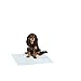 Amazon Basics Pet Training and Puppy Pads, Lavender Scent, Regular - 150 Count