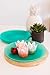 Coza Design- Durable Plastic Plate Set- BPA Free- Set of 6 (Green)