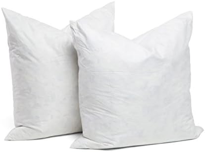 Chateau by Sheri 95% Feather 5% Down Pillow Insert 20"x20" Set of 2