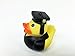 GIFTEXPRESS 12 pcs Graduation Rubber Duckies/Graduate Rubber Ducks/Graduation Party Decoration/Graduation Party Favor/Graduation Gift