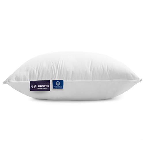 Lincove Cloud Natural Canadian White Down Luxury Sleeping Pillow 625