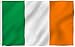 Online Stores FLC35IR 5971459096560 Flag