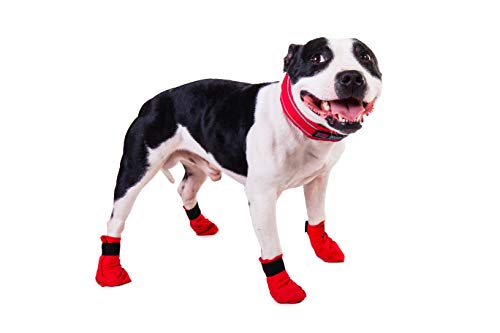 Non-stop dogwear Paw Protectors Dog Booties for Sledding, Long Distance Sock for Mushing, Hiking, Injuries, First Aid, Clean Paws, Clean Carpet & More (12-Pack Medium)