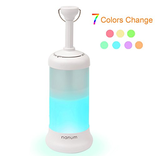camping lantern nightlight