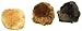 Gund Ganley the Hedgehog Set of 3