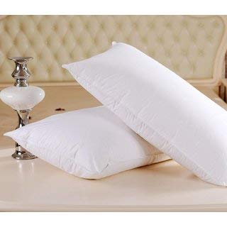 Angel Mommy Imported Microfiber Super Fluffy Pillow Pack Of 2