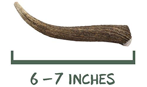 Gnawtlers - Premium Elk Antlers For Dogs, Naturally Shed Elk Antlers, USA Natural Elk Antler Chews,  - //medicalbooks.filipinodoctors.org