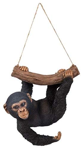 Vivid Arts - Zoo Pet Pals Hanging Chimp Home or Garden Decoration (XRL-CHM5-D)