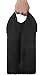 BYOB Wine Carrier Tote - Two Bottle Insulated Neoprene Wine Bottle Holder for Travel