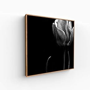 Canvas Wall Art for Living Room, Bedroom Monochrome Image Framed Canvas Prints for Home Decoration Ready to Hang - 16x16 inches