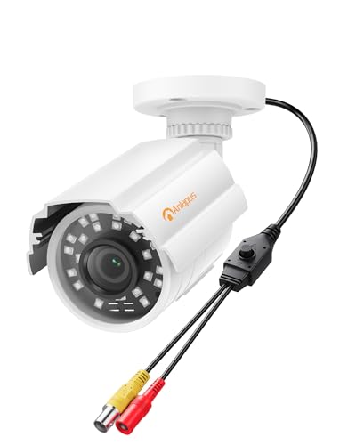 Anlapus 1080P HD Hybrid 4-in-1 Security Camera