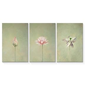 3 Panel Simple and Elegant Lotus Painting Wall...