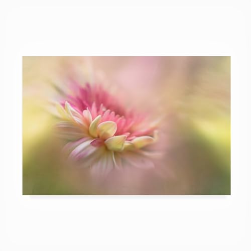 Trademark Fine Art Outdoor Canvas Art - Penny Myles 'Summer Dreaming' Wall Art…