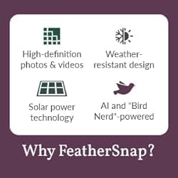 FeatherSnap Scout Wi-Fi Solar Powered Smart Bird
