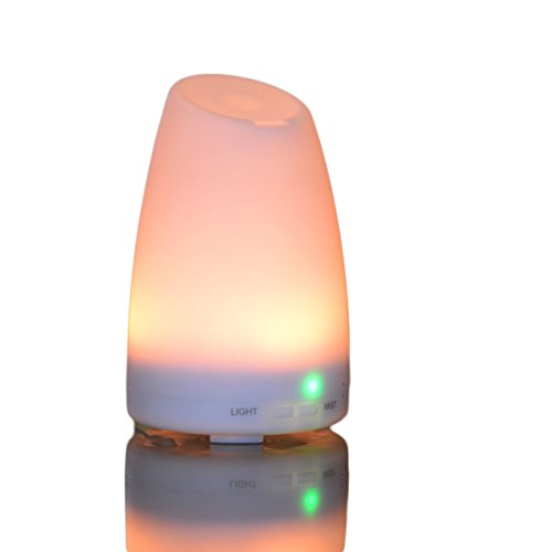 Smiley Daisy Aromatherapy Essential Oil Diffuser, White, 120ml