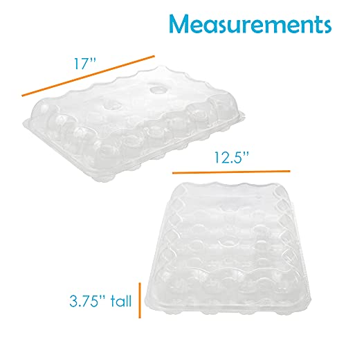 Houseables 24 Cupcake Boxes, Plastic Compartment Containers, 5 Pk, Clear, PET, w/Lid, Detachable