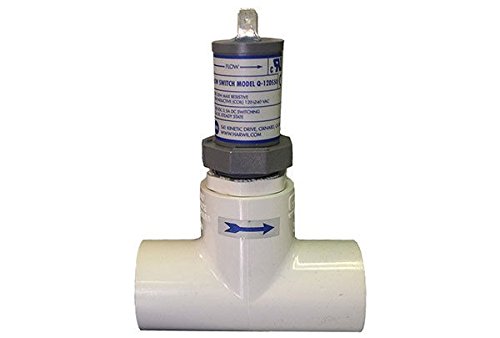Sundance Spas Flow Switch: 3/4