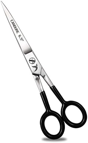 Candure Hairdressing Scissor for Professional Hairdressers Stainless Steel Salon Barber Cutting Hair Scissors with Leather Pouch for Men, Women and Children (Single Scissor)