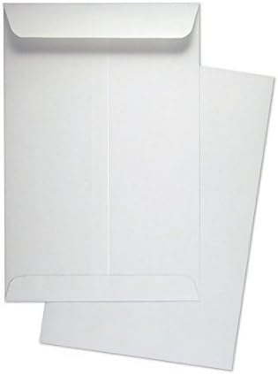 250 Cashier Depot 6" X 9" Catalog Envelopes (Open End), Sturdy 24lb., 250 Envelopes (24lb. White (Gum))
