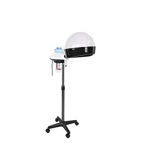 Hair Steamer, 450w/750w Professional Salon Hair Steamer Stand Up With Rolling Stand Base Hood Adjustable Temperature Portable Hair Coloring Perming Conditioning Steamer(US) (White)
