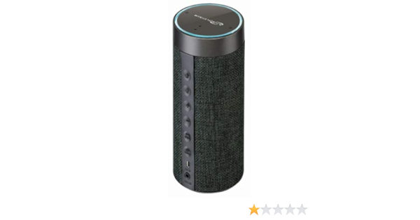 ilive wireless speaker with alexa