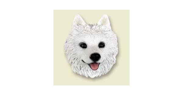 Imán de esquimal americano por Conversation Concepts: Amazon.es: Hogar