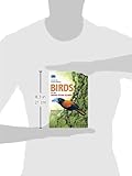 Image de Chamberlain's Birds of the Indian Ocean Islands: Madagascar, Mauritius, Reunion, Rodrigues, Seychelles and the Comores