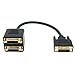 HDE DVI-D Digital Splitter Cable Dual Monitor Display- 1 Male to 2 Female - 1 ft