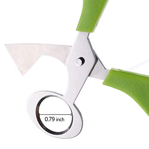 Yarlung 12 Pack Stainless Steel Quail Egg Scissors, Pigeon Egg Cutter