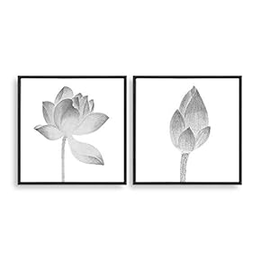 2 Piece Framed Canvas Home Artwork Decoration Transparent Flower Canvas Wall Art for Living Room, Bedroom - 16"x16"x2 Panels