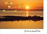 Hardcover My Beautiful Bipolar Mind: Fire on the Mountain Book