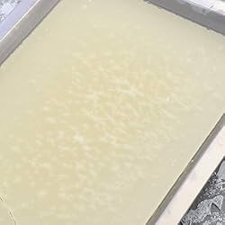 UKCOCO Wax Dissection Tray - Stainless Steel