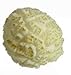 Hoosier Hill Farm Gourmet Mushroom Popcorn, 3 Pound