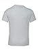 Next Level Boy'S Tri-Blend Tee (Heather White) (L)